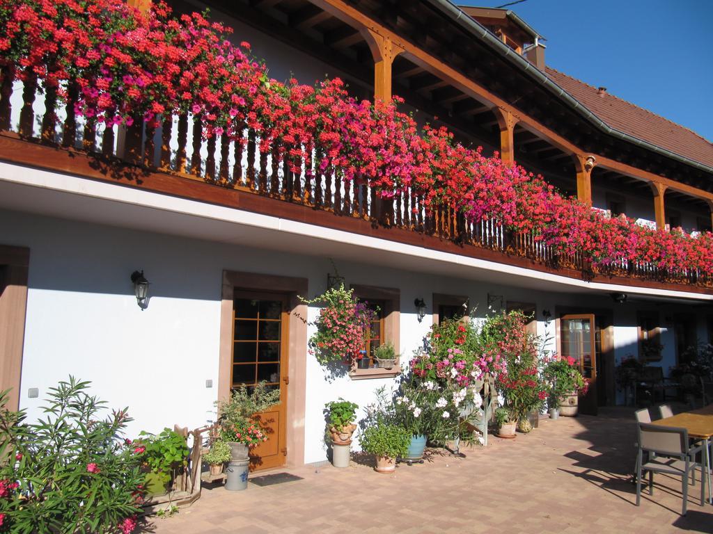 La Ferme De Louise Bed & Breakfast Hohengoeft Екстериор снимка